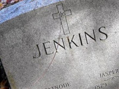 Mary E Patnode Jenkins on Sysoon
