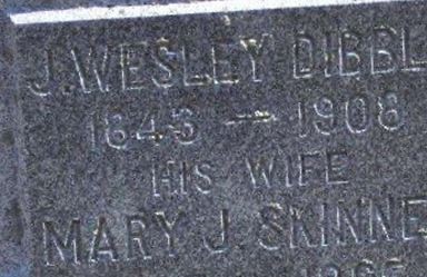 Mary J Skinner Dibble on Sysoon