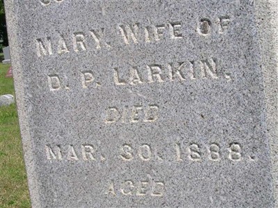 Mary Larkin on Sysoon