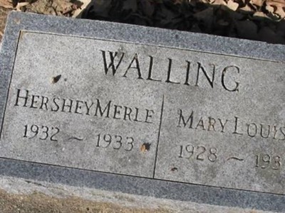 Mary Louise Walling on Sysoon