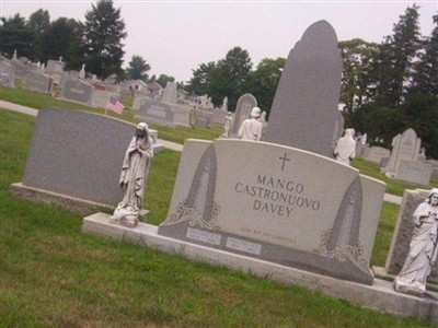 Mary Mango Castronuovo Davey on Sysoon