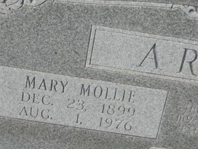 Mary Mollie Arndt on Sysoon