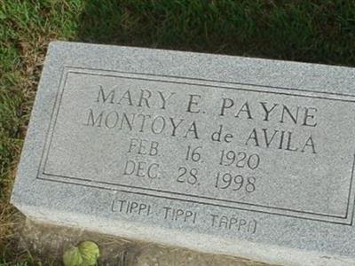 Mary E Payne Montoya de Avila on Sysoon