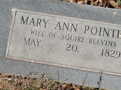 Mary Ann "Polly" Pointer Blevins on Sysoon