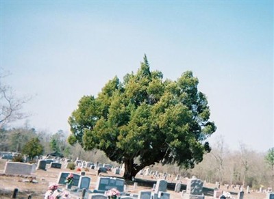 Matthews Cemetery on Sysoon