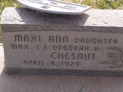 Maxi Ann Chesnut on Sysoon
