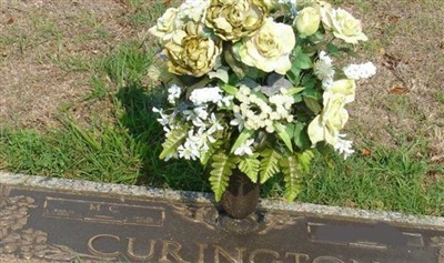 M. C. Curington on Sysoon