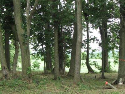 McCormick Cemetery on Sysoon