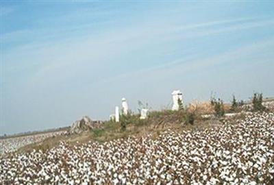 McFadden Cemetery on Sysoon