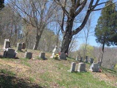 McGinnis Cemetery on Sysoon