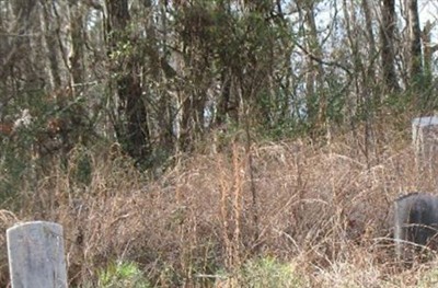 McGowen Cemetery on Sysoon