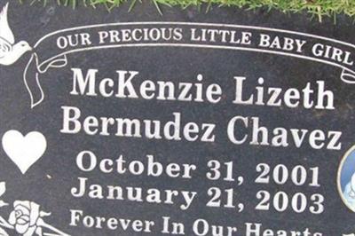 McKenzie Lizeth Bermudez Chavez on Sysoon