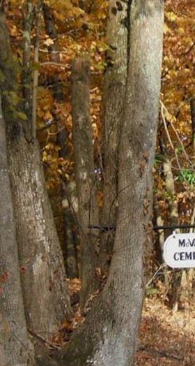 McVaney Cemetery on Sysoon