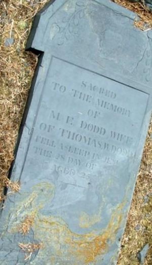 M. E. Dodd on Sysoon