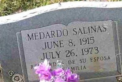MEDARDO SALINAS on Sysoon