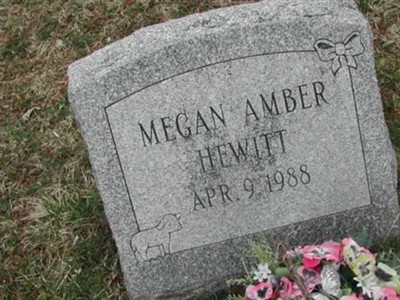 Megan Amber Hewitt on Sysoon