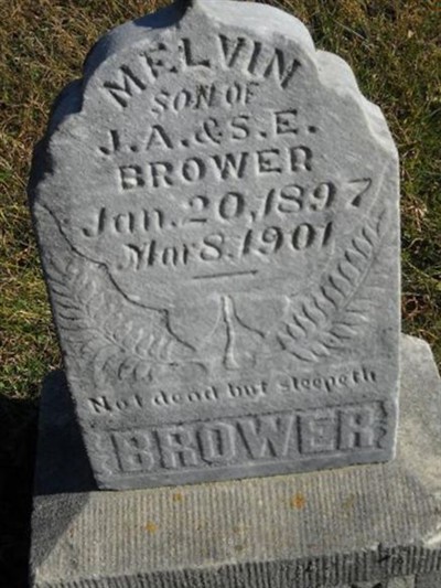Melvin Brower on Sysoon