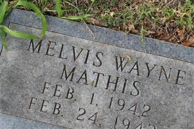 Melvis Wayne Mathis on Sysoon