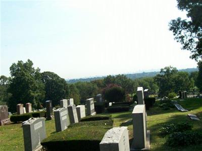 Menorah Cemetery on Sysoon