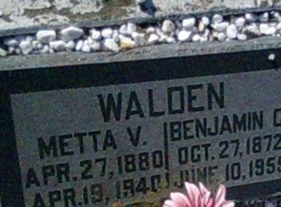 Metta V Walden on Sysoon