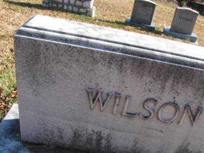 Metta Walser Wilson on Sysoon