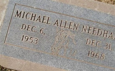 Michael Allen Needham on Sysoon
