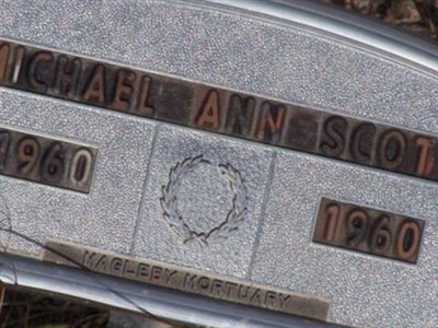 Michael Ann Scott on Sysoon