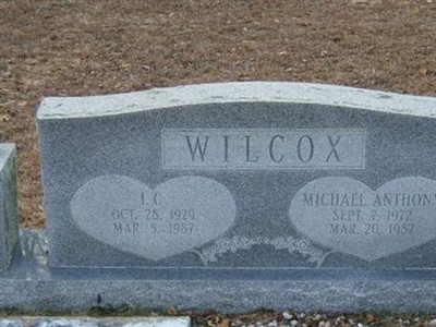 Michael Anthony Wilcox on Sysoon