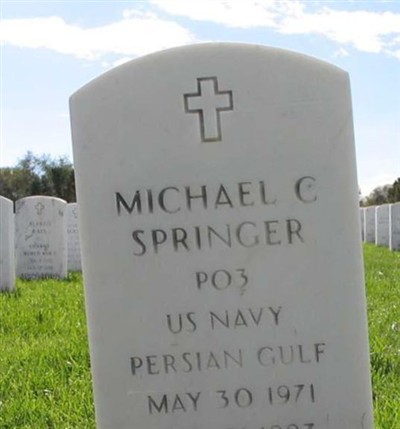 Michael C Springer on Sysoon