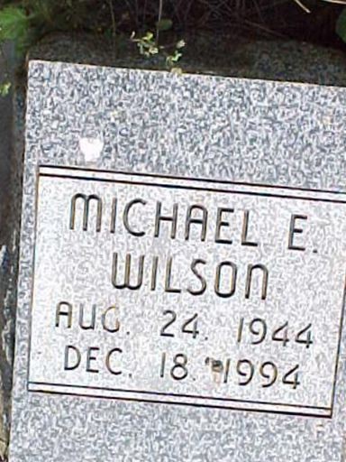 Michael E. Wilson on Sysoon