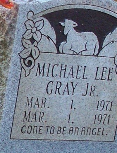 Michael Lee Gray, Jr on Sysoon