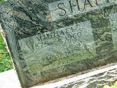 Michael Shapiro on Sysoon
