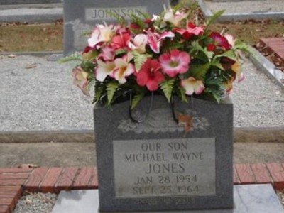 Michael Wayne Jones on Sysoon