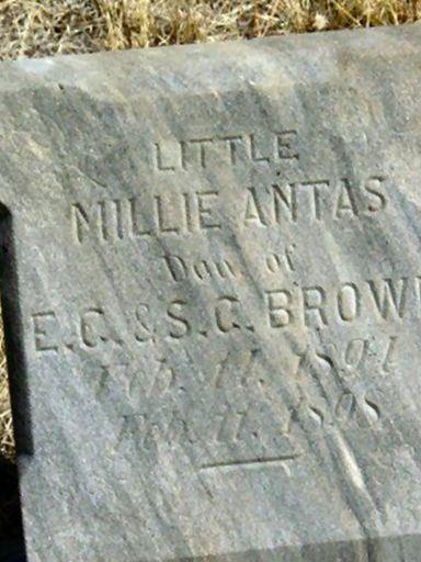 Millie Antas Brown on Sysoon
