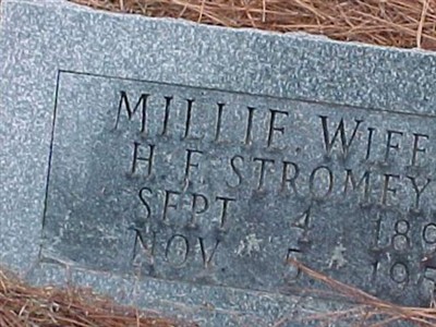 Millie Stromeyer on Sysoon