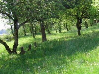 Mima Prairie Pioneer Cemetery on Sysoon