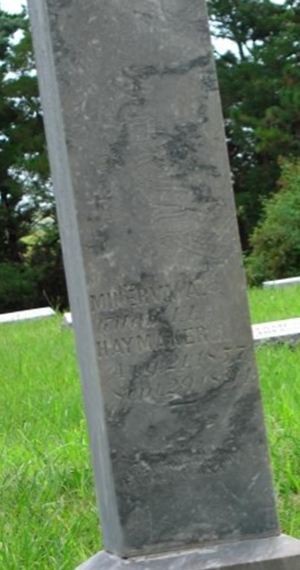 Minerva A. Haymaker on Sysoon