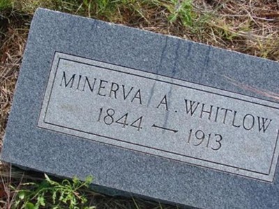 Minerva A. Whitlow on Sysoon