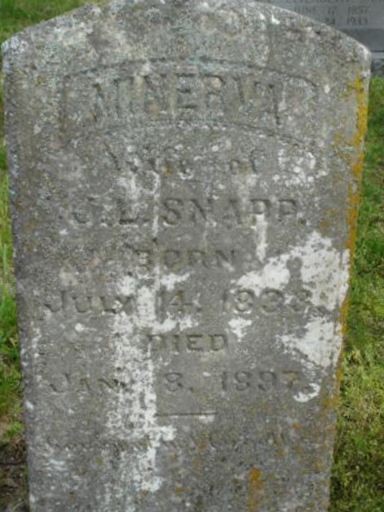 Minerva Snapp on Sysoon