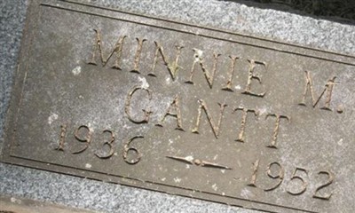 Minnie Cartwright Gantt on Sysoon