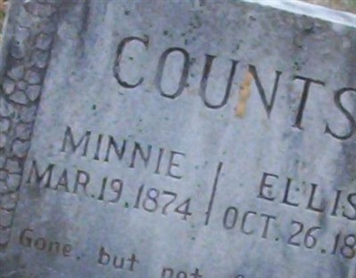 Minnie Counts on Sysoon