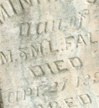 Minnie D. Fall on Sysoon