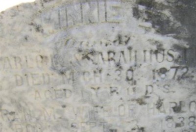 Minnie E. Husted on Sysoon