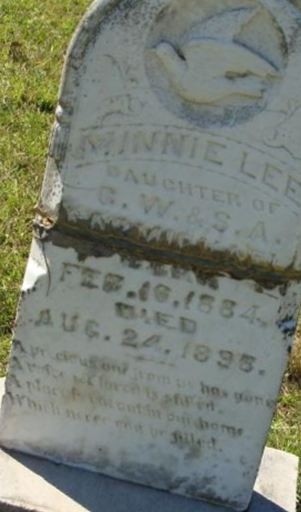 Minnie Lee Carmichael on Sysoon