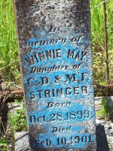 Minnie May Stringer on Sysoon