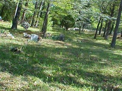 Minor Hill Cemetery on Sysoon