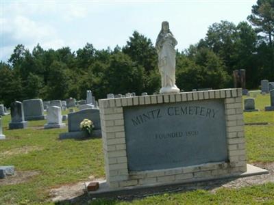 Mintz Cemetery on Sysoon