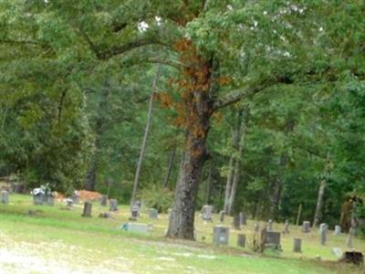 Rock Hill Missionary Baptist Church Cemetery on Sysoon