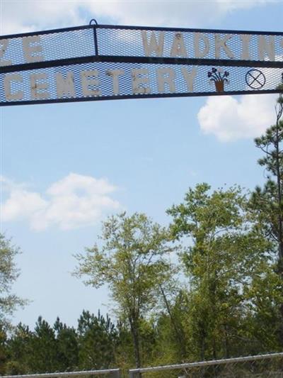 Mize Cemetery on Sysoon