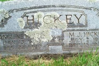 M J Hickey on Sysoon